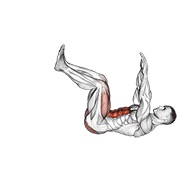 mrtva buba — fitness vježba