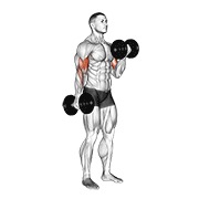 naizmjenični pregibi bicepsa s bučicama — fitness vježba