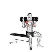 Arnold potisak s bučicama v. 2 — fitness vježba