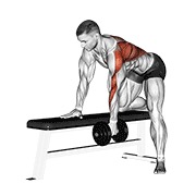 bučice jednoručno veslanje u pretklonu — fitness vježba