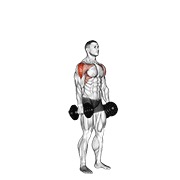 kubanski potisak s bučicama — fitness vježba