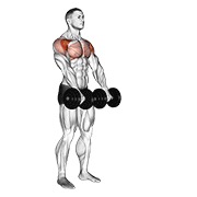 bučice prednje podizanje — fitness vježba