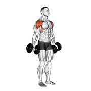 bučice full can lateralno podizanje — fitness vježba
