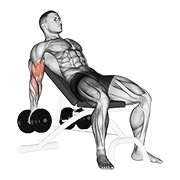bučice biceps pregibi na pozitivnoj klupi — fitness vježba