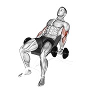 bučice pregibi na pozitivnoj klupi v. 2 — fitness vježba