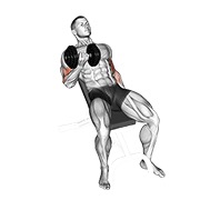 bučice pregibi na pozitivnoj klupi — fitness vježba