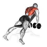 bučice veslanje na pozitivnoj klupi — fitness vježba