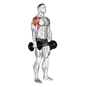 bučice lateralno podizanje — fitness vježba
