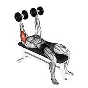 bučice ležeća ekstenzija (preko lica) — fitness vježba
