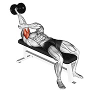 bučice ležeća jednoručna supinirana ekstenzija tricepsa — fitness vježba