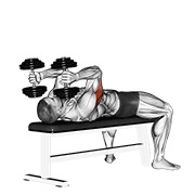 bučice ležeća ekstenzija tricepsa — fitness vježba
