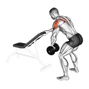 bučice jednoručno obrnuto razvlačenje (s osloncem) — fitness vježba