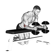 pregibi zapešća preko klupe neutralnim hvatom s bučicama — fitness vježba