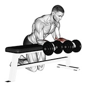 obrnuti pregibi zapešća preko klupe s bučicama — fitness vježba