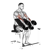 pregibi čekićem na Scott klupi s bučicama — fitness vježba