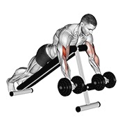 pregibi s bučicama ležeći na pozitivnoj klupi — fitness vježba