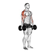 podizanje bučica — fitness vježba
