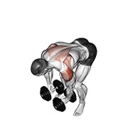 stražnje bočno podizanje s bučicama — fitness vježba