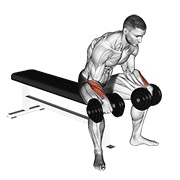 obrnuti pregibi zapešća s bučicama — fitness vježba