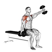 sjedeće naizmjenično prednje podizanje s bučicama — fitness vježba