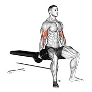 sjedeći pregibi s bučicama — fitness vježba