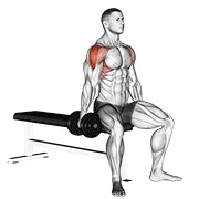 sjedeće bočno podizanje s bučicama — fitness vježba