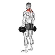 slijeganje ramenima s bučicama — fitness vježba