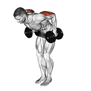 stojeći kickback s bučicama — fitness vježba