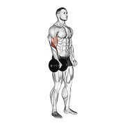 stojeći obrnuti pregibi jednom rukom s bučicom — fitness vježba