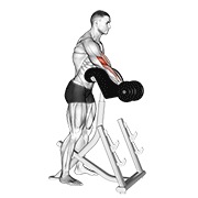 stojeći preacher pregibi s bučicama — fitness vježba