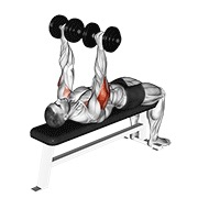 tate potisak s bučicama — fitness vježba