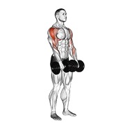 uspravno veslanje s bučicama — fitness vježba