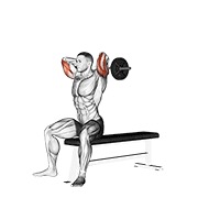 sjedeće ispružanje tricepsa s EZ šipkom — fitness vježba