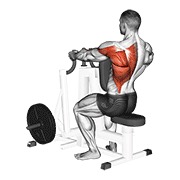 izmjenično sjedeće veslanje uskim hvatom na spravi — fitness vježba