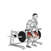 mrtvo dizanje na spravi — fitness vježba