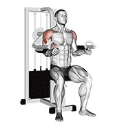 bočno podizanje na spravi — fitness vježba