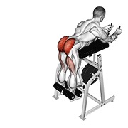 reverzna hiperekstenzija na spravi — fitness vježba