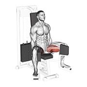 sjedeća addukcija kukova na spravi — fitness vježba