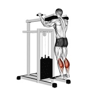 stojeće podizanje listova na spravi — fitness vježba