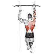 jednoručni zgib — fitness vježba
