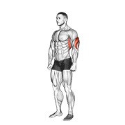 istezanje tricepsa iznad glave — fitness vježba