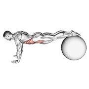 uvlačenje (na lopti za stabilnost) — fitness vježba