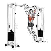 zgib (neutralni hvat) — fitness vježba