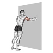 sklek (uz zid) v. 2 — fitness vježba