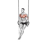 dips na ringovima — fitness vježba