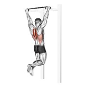 skapularno zgibanje — fitness vježba