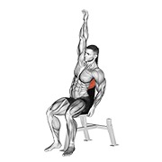 sjedeće istezanje donjih leđa — fitness vježba