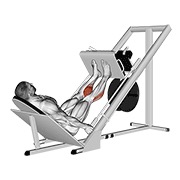 potisak listova na saonicama pod 45° — fitness vježba