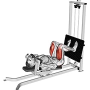 čučanj ležeći na saonicama — fitness vježba