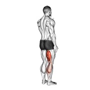 stojeći pregibi jednom nogom — fitness vježba